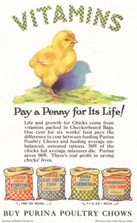 Голодный цыпленок. Реклама корма для домашних птиц Purina. 