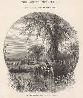 Вид на Белые горы с лугов Конвей Медоуз, штат Нью-Гемпшир. Лист из издания "Picturesque America", т.I, Нью-Йорк, 1872.