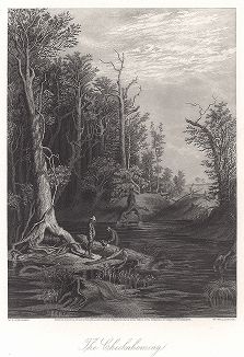 Берега реки Чикахомини, штат Вирджиния. Лист из издания "Picturesque America", т.I, Нью-Йорк, 1873.