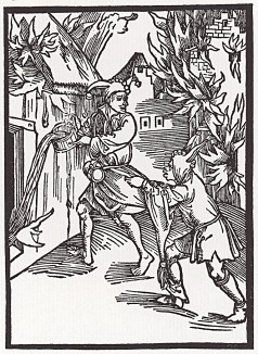 Дурак на пожаре (иллюстрация к главе 58 книги Себастьяна Бранта "Корабль дураков", гравированная Дюрером в 1494 году)