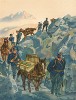 Доставка боеприпасов для швейцарской горной артиллерии. Notre armée. Женева, 1915