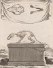 Скелет (лист LVII иллюстраций к десятому тому знаменитой "Естественной истории" графа де Бюффона, изданному в Париже в 1763 году)