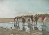 Спаги французского африканского корпуса сопровождают европейского путешественника. L'Album militaire. Livraison №15. Armée d'Afrique: Spahis. Париж, 1890