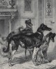 Русские борзые из "Книги собак" Веро Шоу, изданной в Лондоне в 1881 году