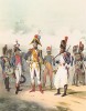 Гвардейская пехота армии Наполеона Бонапарта. Репринт середины XX века со старинной французской гравюры