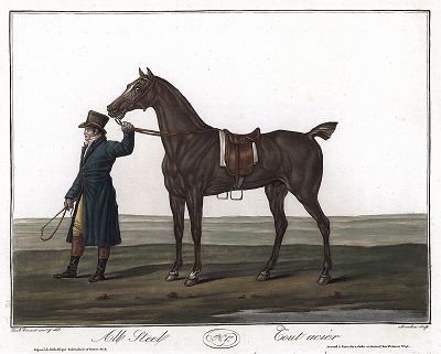 Джентльмен, ведущий лошадь. Лист из серии "Recueil de Chevaux de Tous Genres" Карла и Ораса Верне. 