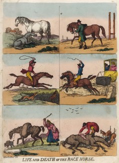 Жизнь и смерть скаковой лошади. Работа известного британского карикатуриста Томаса Роуландсона. 