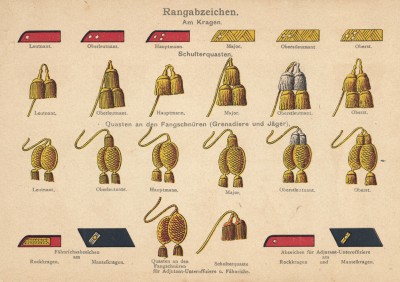 Знаки различия унтер-офицеров и рядовых голландской армии (погоны, шевроны, темляки и пр.)