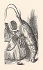 И поправивши носом жилетку и бант, он идет на носочках, как лондонский франт (иллюстрация Джона Тенниела к книге Льюиса Кэрролла «Алиса в Стране Чудес», выпущенной в Лондоне в 1870 году)