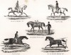 Ход лошади. Рысь, галоп и шаг. The Book of Field Sports and Library of Veterinary Knowledge. Лондон, 1864