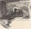 Запряжённая волами повозка на перевале Кумберленд, штат Кентукки. Лист из издания "Picturesque America", т.I, Нью-Йорк, 1872.