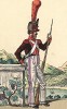 1809 г. Гренадер 13-й полубригады португальского легиона Великой армии Наполеона. Коллекция Роберта фон Арнольди. Германия, 1911-29