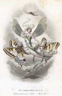 Очаровательная стрекоза, парящая в воздухе с двумя бабочками-махаонами в окружении херувимов. Иллюстрация Пьера Амеди Варена из Les Papillons: Metamorphoses terrestres des peuples de l'air , Париж, 1852.