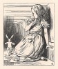 Ах, боже мой, что скажет Герцогиня! Она будет в ярости, если я опоздаю! Просто в ярости! (иллюстрация Джона Тенниела к книге Льюиса Кэрролла «Алиса в Стране Чудес», выпущенной в Лондоне в 1870 году)