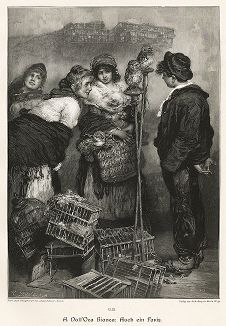 "Парижские птицы" работы Анджело Далль'Ока Бьянка. Moderne Kunst..., т. 9, Берлин, 1895 год. 