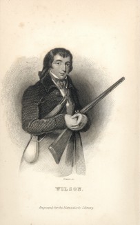 Александр Вильсон (1766-1813) -- орнитолог, поэт и художник, работавший в Шотландии и Америке. В его честь названо несколько видов птиц (фронтиспис тома XXVII "Библиотеки натуралиста" Вильяма Жардина, изданного в Эдинбурге в 1843 году)