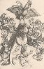 Герб с петухом. Гравюра Альбрехта Дюрера, выполненная ок. 1503 года (Репринт 1928 года. Лейпциг)