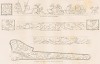 Предметы, украшенные орнаментом, обнаруженные 27 июля 1830 г. при раскопках в керченских курганах. Зарисованы Дюбуа де Монпере на месте. Л.XXIV четвертой части атласа к «Путешествию по Кавказу…" Фредерика Дюбуа де Монпере. Париж, 1843