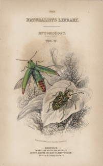 Титульный лист XXXV тома "Библиотеки натуралиста" Вильяма Жардина, изданного в Эдинбурге в 1843 году и посвящённого Джону Рэю (на миниатюре изображены насекомые)