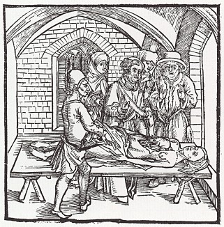 Жаба, найденная на сердце нераскаявшейся покойницы (иллюстрация к книге "Рыцарь Башни", гравированная Дюрером в 1493 году)