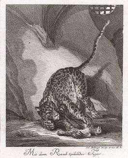 Пантера, играющая с добычей. Гравюра Иоганна Элиаса Ридингера из Entwurff Einiger Thiere ..., Аугсбург, 1738. 