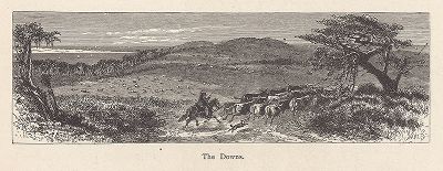 Прибрежные дюны, Лонг-Айленд, штат Нью-Йорк. Лист из издания "Picturesque America", т.I, Нью-Йорк, 1872.
