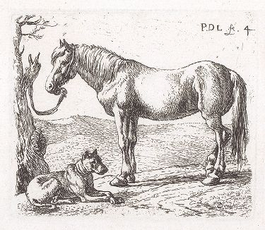 Привязанная к дереву лошадь. Лист № 4 из сюиты Питера ван Лара, посвященной лошадям. 
