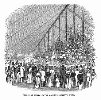 Лондонское Королевское ботаническое общество, основанное в 1839 году, собравшееся на празднестве под тентом экспериментального ботанического сада в парке Риджентс--парк (The Illustrated London News №105 от 04/05/1844 г.)