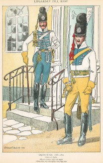 Шведские гвардейские драгуны в униформе образца 1806-09 гг. Svenska arméns munderingar 1680-1905. Стокгольм, 1911