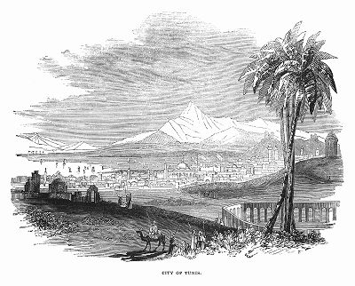 Тунис -- древний город, на месте которого в 814 году до н. э был основан Карфаген, столица современного государства Тунис, находящегося в 1844 году под властью Османской империи (The Illustrated London News №99 от 23/03/1844 г.)