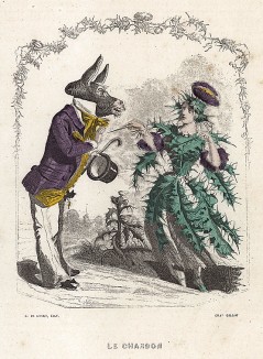 Беседа леди Чертополоха с джентльменом Ослом. Les Fleurs Animées par J.-J Grandville. Париж, 1847