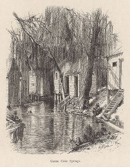 Бухта Зелёный источник, штат Флорида. Лист из издания "Picturesque America", т.I, Нью-Йорк, 1872.