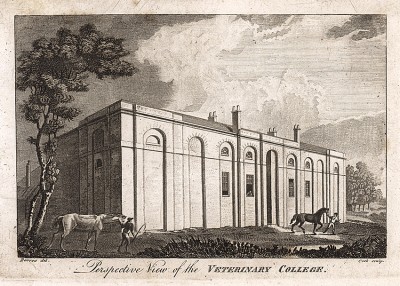 Ветеринарный колледж в лондонском районе Кентиш-таун: перспективное изображение. Лондон, 1804