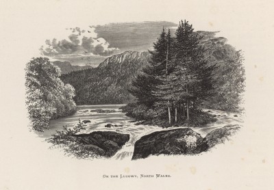 На реке Ллугви в северном Уэльсе (иллюстрация к работе "Пресноводные рыбы Британии", изданной в Лондоне в 1879 году)