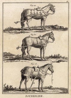 Профессии. Шорник. Способы запрягания лошадей. (Ивердонская энциклопедия. Том II. Швейцария, 1775 год)