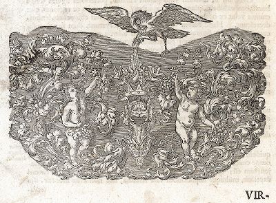 Виньетка с арабесками, кормящим собственной кровью своих детей пеликаном, виноградом и путти. Лист из Sculpturae veteris admiranda ... Иоахима фон Зандрарта, Нюрнберг, 1680 год. 