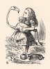 Он изогнет шею и поглядит ей прямо в глаза, да так удивлённо, что она начинает смеяться (иллюстрация Джона Тенниела к книге Льюиса Кэрролла «Алиса в Стране Чудес», выпущенной в Лондоне в 1870 году)