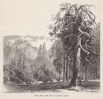 Долина Флор и вид на скалы горного хребта Кафедрал, Йосемити, штат Калифорния. Лист из издания "Picturesque America", т.I, Нью-Йорк, 1872.