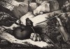 Охота на медведя в России. La Russie pittoresque, sous la direction de M. Jean Czynski, л.5. Париж, 1837