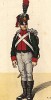 1815 г. Канонир артиллерии королевства Саксония. Коллекция Роберта фон Арнольди. Германия, 1911-29
