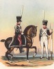 Голландские гренадеры в 1811 году (из популярной в нацистской Германии работы Мартина Лезиуса Das Ehrenkleid des Soldaten... Берлин. 1936 год)