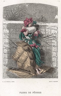 Бедный замерзший цветок Персикового дерева. Les Fleurs Animées par J.-J Grandville. Париж, 1847