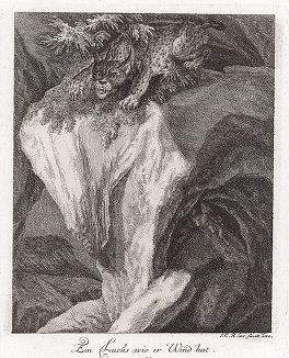 Рысь перед прыжком. Гравюра Иоганна Элиаса Ридингера из Entwurff Einiger Thiere ..., Аугсбург, 1740. 