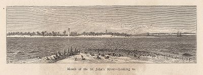 Устье реки Сент-Джон-ривер, штат Флорида. Вид с берега на реку. Лист из издания "Picturesque America", т.I, Нью-Йорк, 1872.