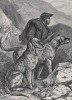 Дирхаунды в ожидании добычи (из "Книги собак" Веро Шоу, изданной в Лондоне в 1881 году)