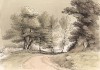 Деревья вдоль дороги. Гравюра с рисунка знаменитого английского пейзажиста Томаса Гейнсборо из коллекции Дж. Хибберта. A Collection of Prints ...of Tho. Gainsborough, Лондон, 1819. 