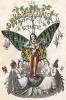 Бабочка-юноша, поющий серенаду окружающим его прекрасным мотылькам. Фронтиспис книги Les Papillons, métamorphoses terrestres des peuples de l'air par Amédée Varin. Париж, 1852