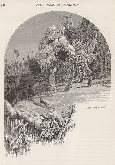 Лунный остров зимой. Окрестности Ниагарского водопада. Лист из издания "Picturesque America", т.I, Нью-Йорк, 1872.