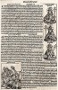 Лист из знаменитой первопечатной книги Хартмана Шеделя "Всемирная хроника", также известной как "Нюрнбергские хроники". Die Schedelsche Weltchronik (Liber Chronicarum). Нюрнберг, 1493