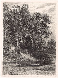 Лес на крутом берегу (1877).